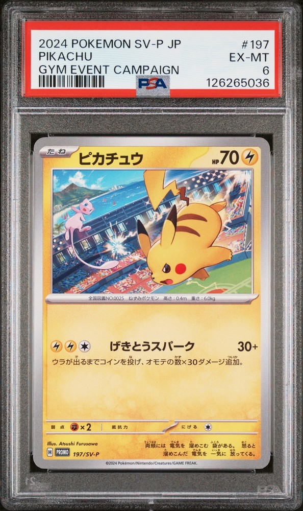 2024 POKEMON JAPANESE SV-P PROMO GYM EVENT CAMPAIGN #197 PIKACHU PSA 6
