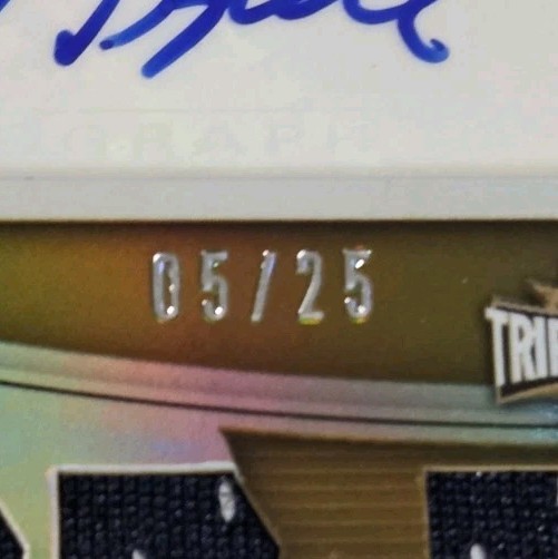 2010 Triple Threads C.J. SPILLER / JONATHAN DWYER RC BOOKLET DUAL AUTO PATCH /25 view 2