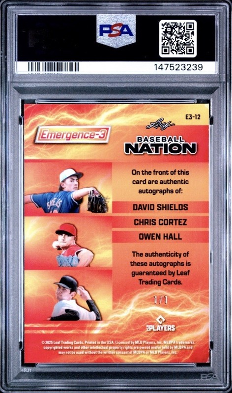 2025 Leaf Baseball Nation Shields/Cortez/Hall #12 Black Shmr Auto 1/1 PSA 7 view 2