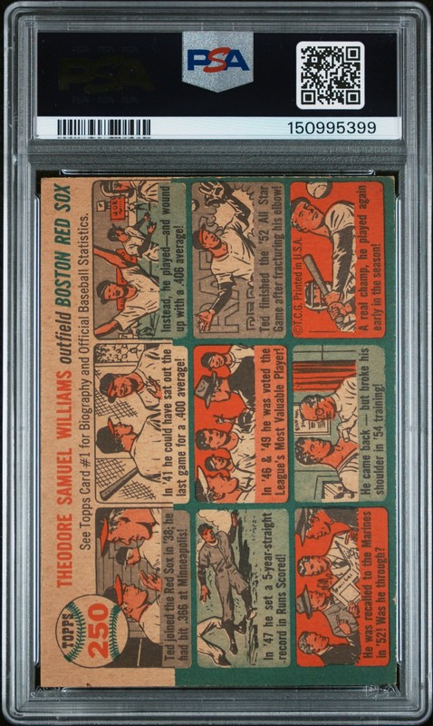 1954 Topps 250 Ted Williams PSA 4 150995399 view 2
