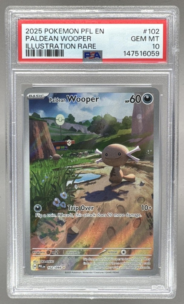 6059 Paldean Wooper 2025 Pokemon Phantasmal Flames #102 Illustration Rare PSA 10