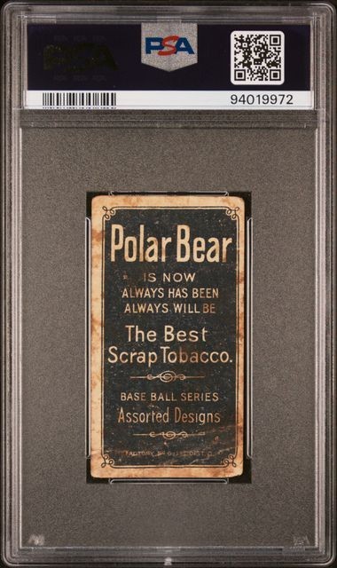 1909 POLAR BEAR T206 ADMIRAL SCHLEI (PORTRAIT)  PSA 1 view 2