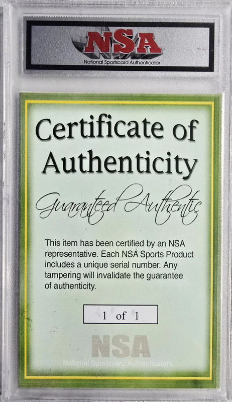 Michael Jordan NSA Logoman Game Worn Jersey Patch 1/1 view 2
