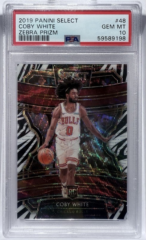 2019-20 Panini Select Coby White Zebra Prizm Rookie RC Hornets Bulls PSA 10