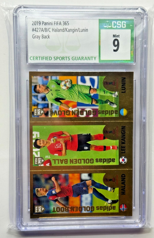 2019 Panini FIFA 365 Erling Haaland Rookie Card RC Sticker 421 GRAY Back CSG 9