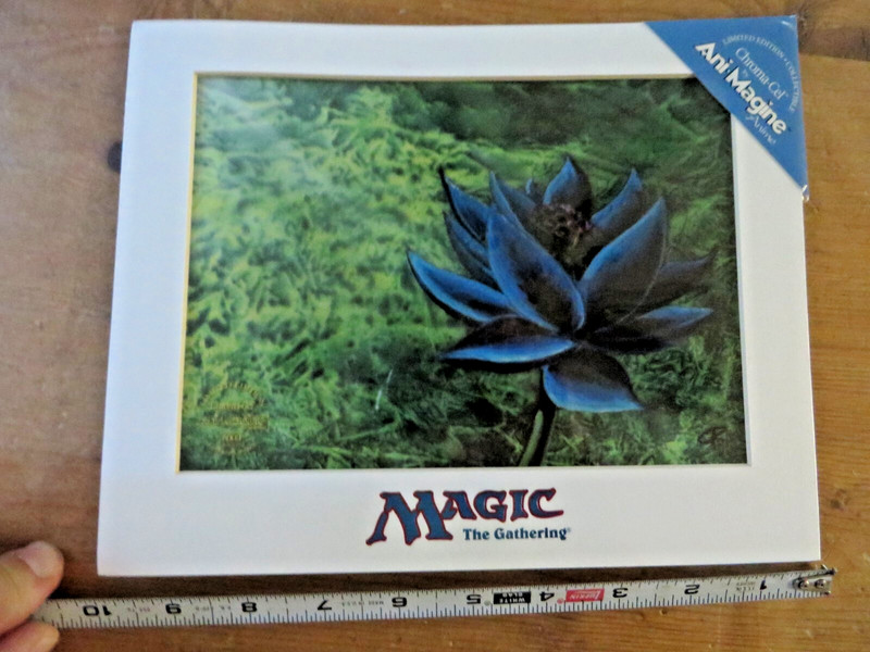 Magic The Gathering ~ BLACK LOTUS  1998 WIZARDS OF THE COAST 1/5000 w/COA view 2