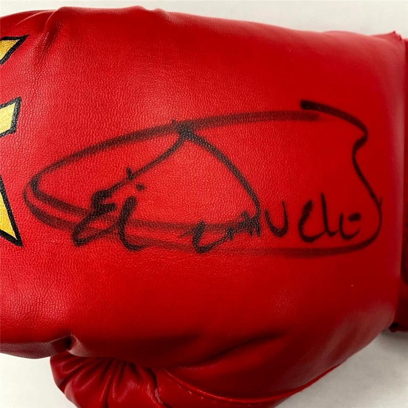 Saul Canelo Alvarez signed Custom Hand Painted Everlast Boxing Glove auto ~ PSA view 2