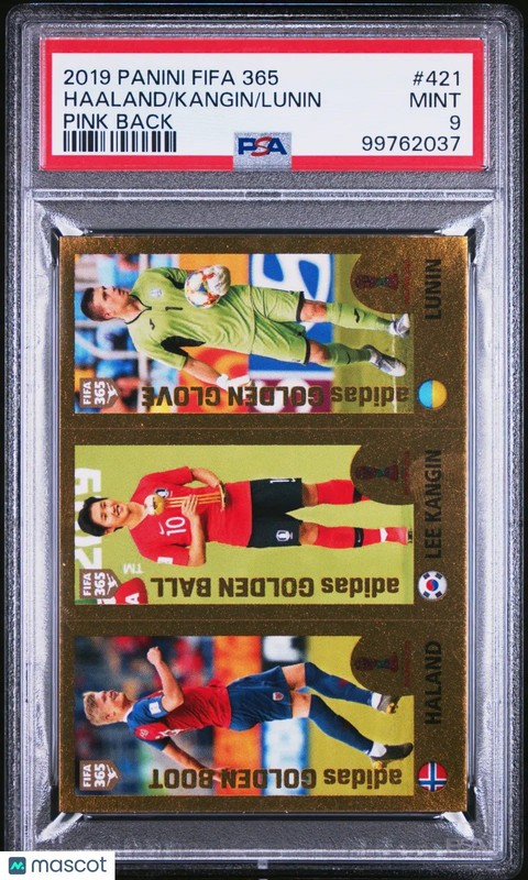 Erling Haaland Haland RC PSA 9 Rookie 2019 Panini Sticker FIFA 365 Pink Back