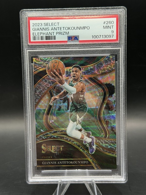 2023-24 Panini Select - Courtside Giannis Antetokounmpo #260 Elephant Prizm Psa9