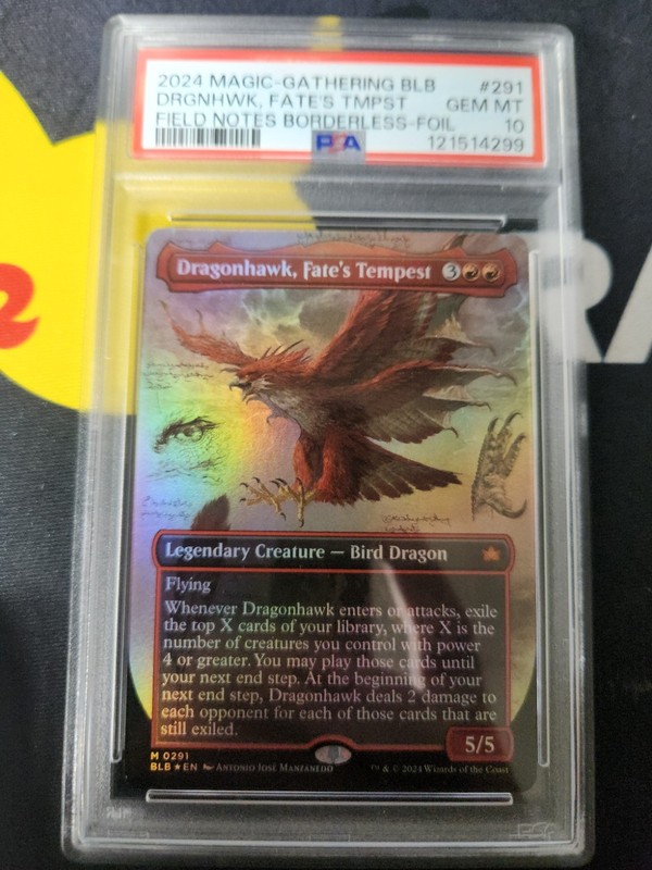 DRAGONHAWK, FATE'S TEMPEST Bloomburrow Showcase Foil Mythic PSA 10 MTG