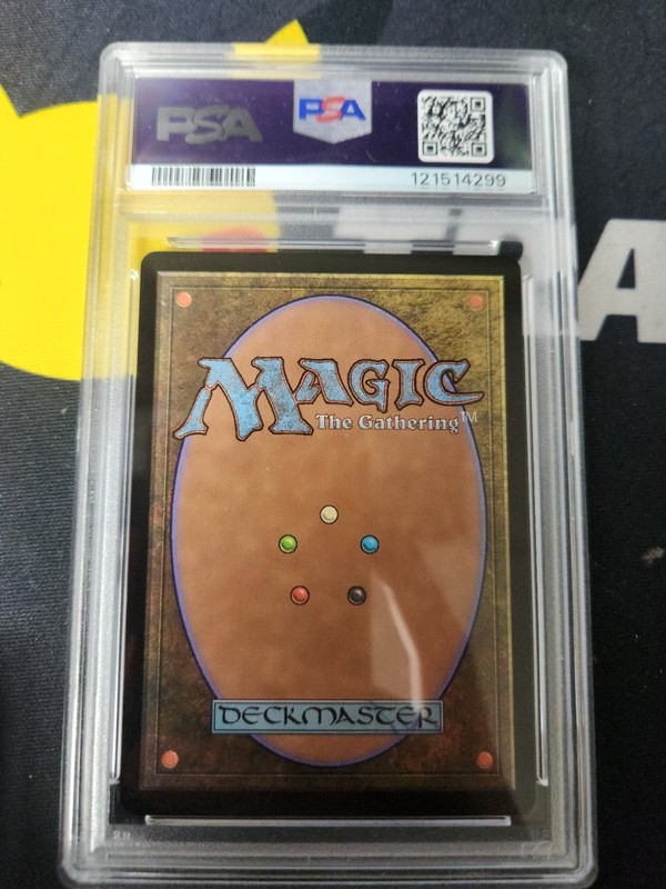 DRAGONHAWK, FATE'S TEMPEST Bloomburrow Showcase Foil Mythic PSA 10 MTG view 2