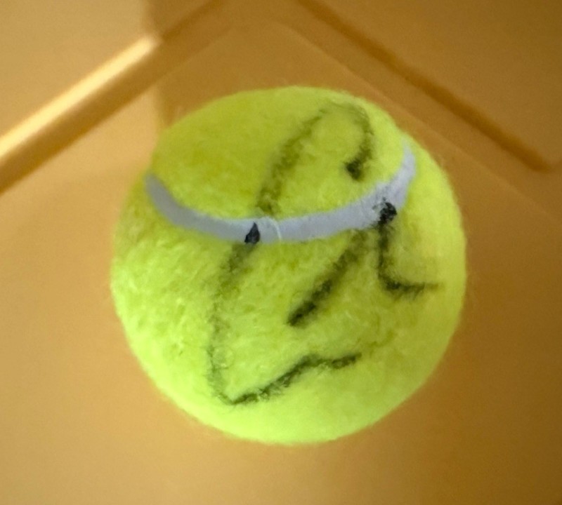 CARLOS ALCARAZ Signed Autographed PSA Authenticated Wimbledon Tennis Ball Beauty