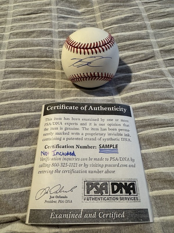 KYLE SCHWARBER SIGNED BASEBALL ROMLB PSA COA AUTHENTIC AUTOGRAPH PHILLIES QTY