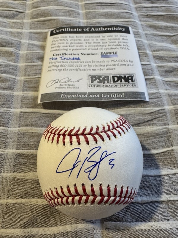 ALEX BREGMAN SIGNED RAWLINGS BASEBALL ROMLB PSA COA AUTHENTIC AUTOGRAPH CUBS MLB