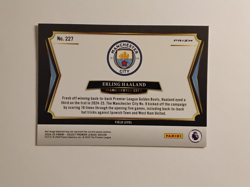 2024-25 Panini Select Premier League Field Level #227 Erling Haaland Iced Prizm view 2