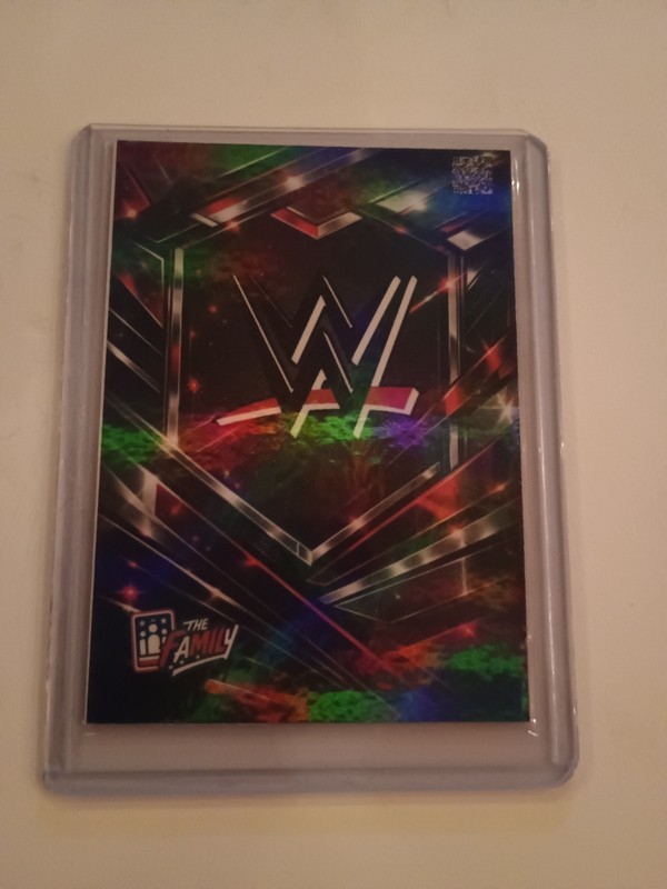 The Rock Dwayne Johnson Custom Art Card The Family Wrestling Not Licensed  view 2