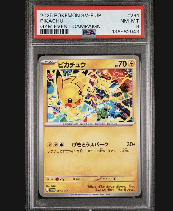 Pokémon Pikachu 291/SV-P Gym Event Campaign Promo SV-P Japanese PSA 8