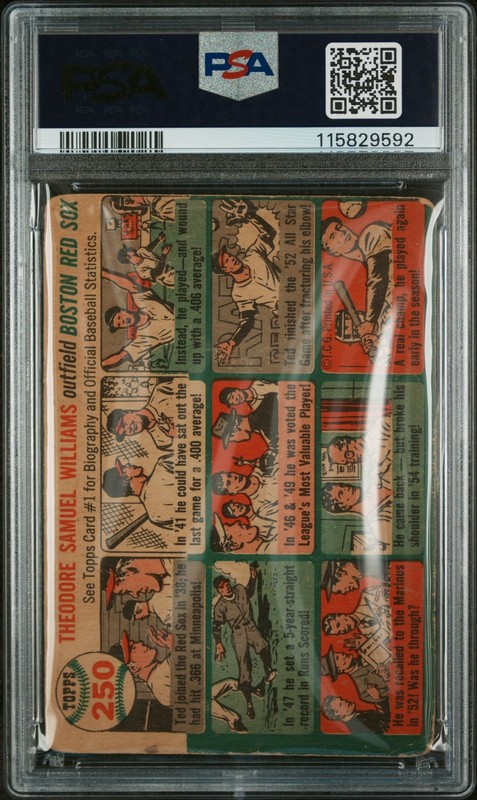 1954 Topps #250 Ted Williams PSA 1.5 New Label view 2
