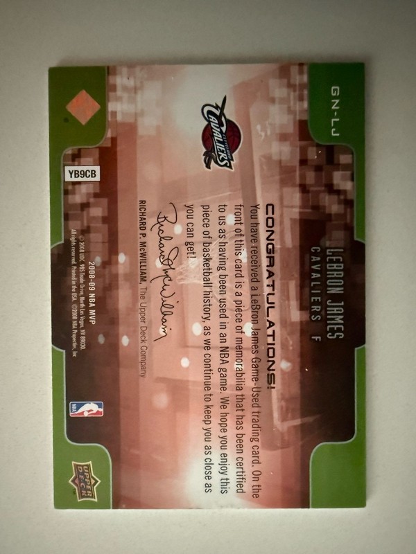 LeBron James 2008-09 Upper Deck MVP Game Night Souvenirs Game Used Jersey GN-LJ view 2