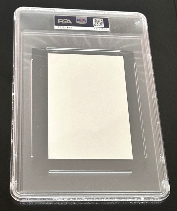 1979 United Press Int. Muhammad Ali Card PSA 8 NM-MT! Pop 4 None higher view 2