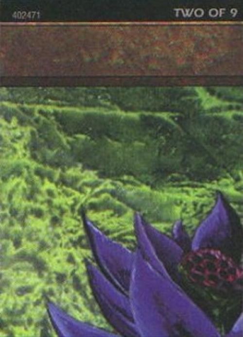Black Lotus (2 of 9) (Ultra Pro Puzzle Quest) - MEPR MTG - Light Play