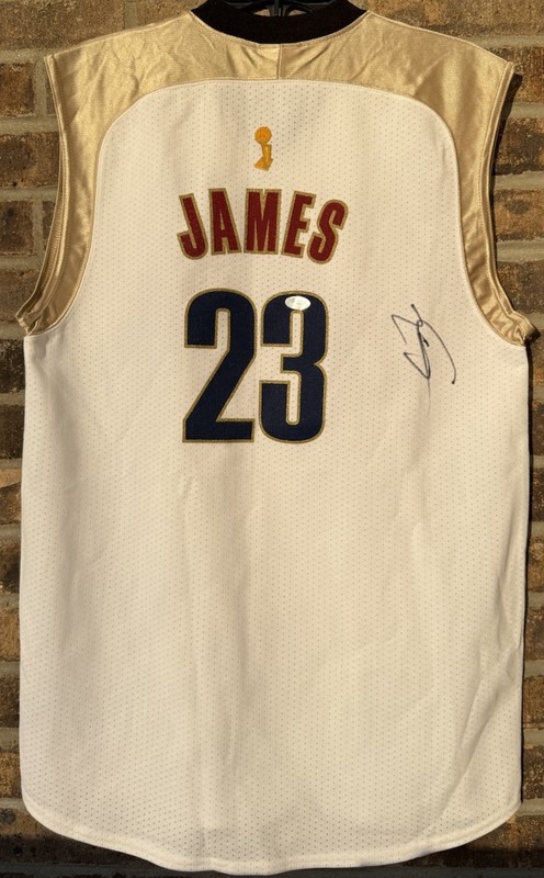 LeBron James Autographed Signed Cavaliers NBA Finals Jersey Auto PSA/DNA LOA