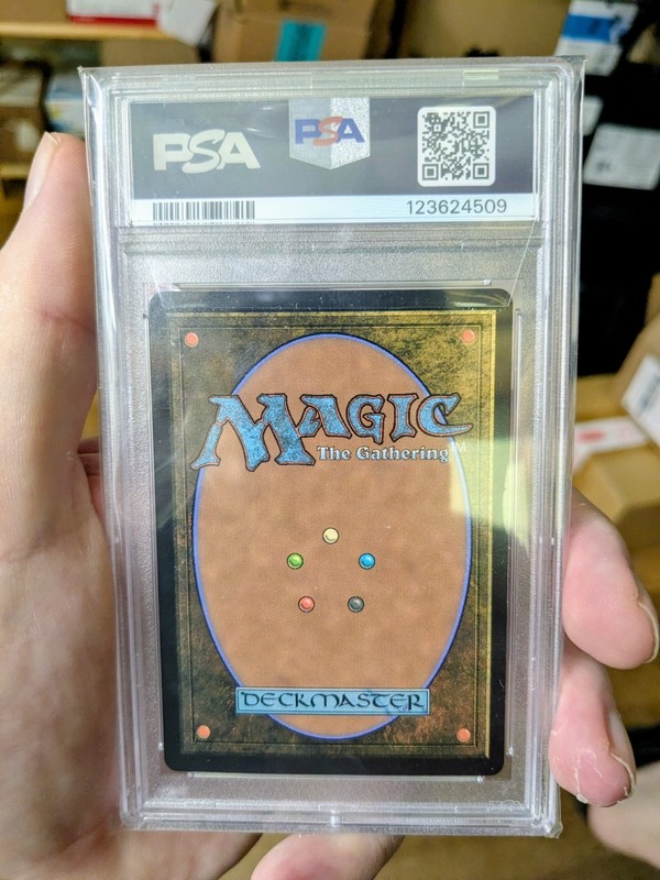 MTG FOIL Princess Sarah PSA GRADE 10 view 2