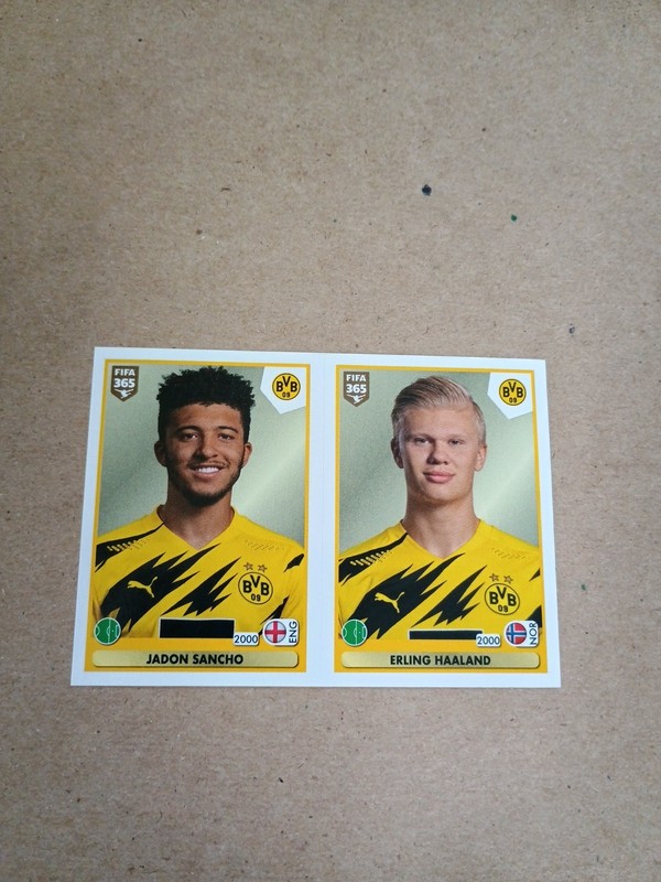 Erling Haaland Jadon Sancho Rookie RC Sticker Panini Fifa 365 2020 21 #181