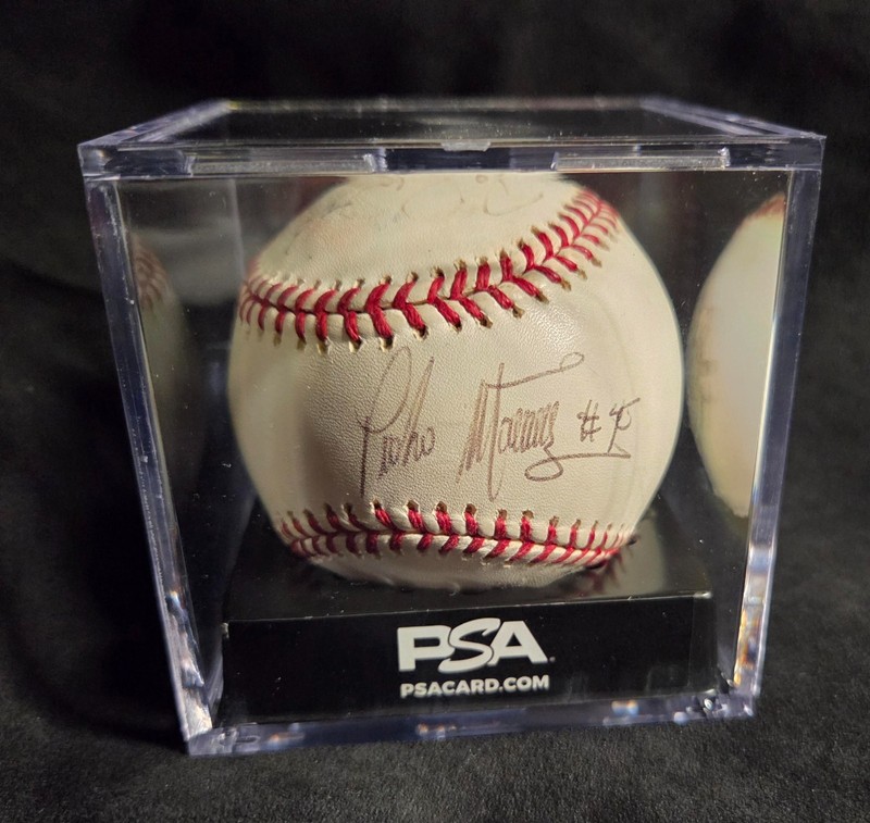 PSA Pedro Martinez AUTO Signed Autograph 2003 World Series OLB Baseball Ball HOF