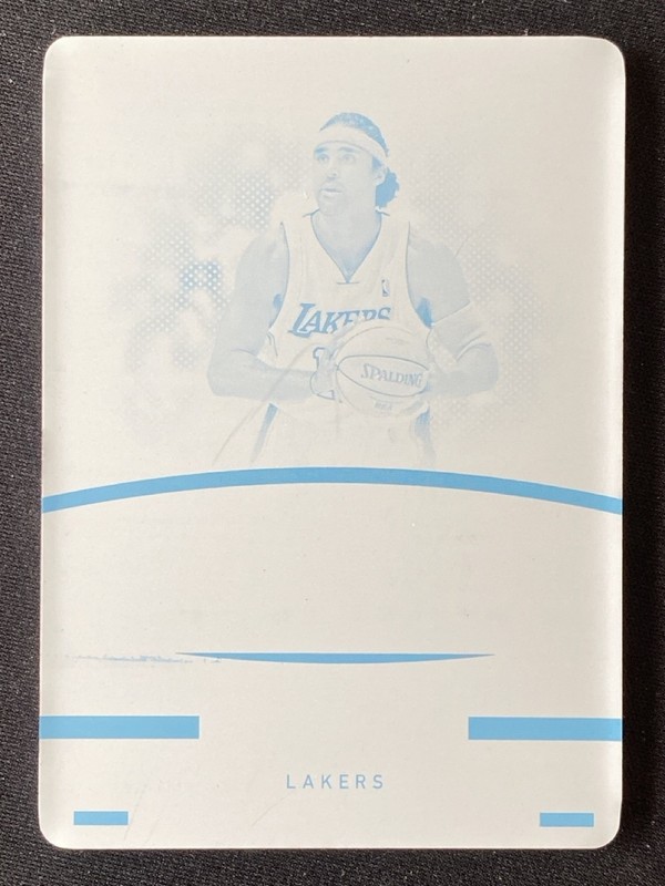 Rick Fox 2020-21 Panini Flawless Autographs Cyan Plate 1/1 #33