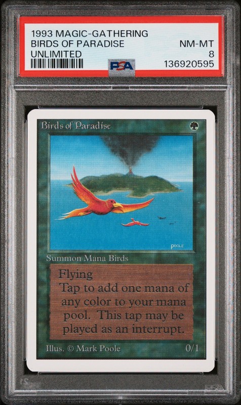 MTG BIRDS OF PARADISE Unlimited Edition PSA 8 NM 1993 Magic the Gathering RARE