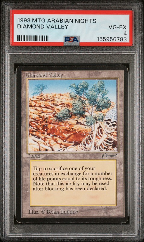 1993 MAGIC THE GATHERING ARABIAN NIGHTS DIAMOND VALLEY PSA 4