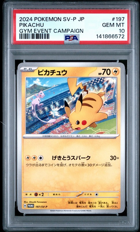 2024 POKEMON JAPANESE SV-P PROMO GYM EVENT CAMPAIGN #197 PIKACHU PSA 10