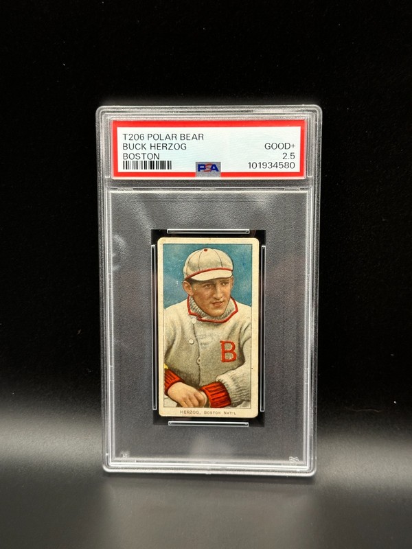 T206 Polar Bear Buck Herzog Boston RARE PSA 2.5 Good+ Vintage Tobacco Card
