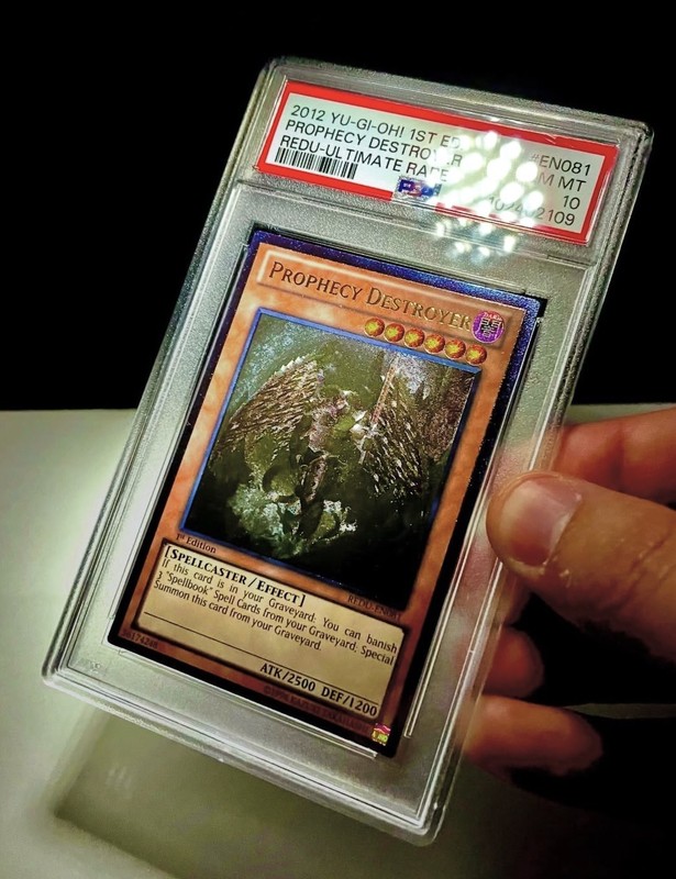 Yu-Gi-Oh! Prophecy Destroyer REDU-EN081 Ultimate Rare 1st Edition PSA 10 Pop 4