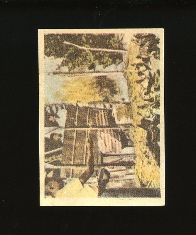 1964 Instantaneos Da Vida Do Rei Set-Break # 69 Pele LOW GRADE *GMCARDS*