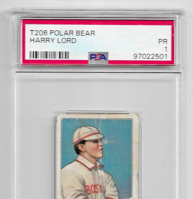 1909-1911 T206 POLAR BEAR TOBACCO BASEBALL CARD PSA 1 HARRY LORD BOSTON RED SOX view 2