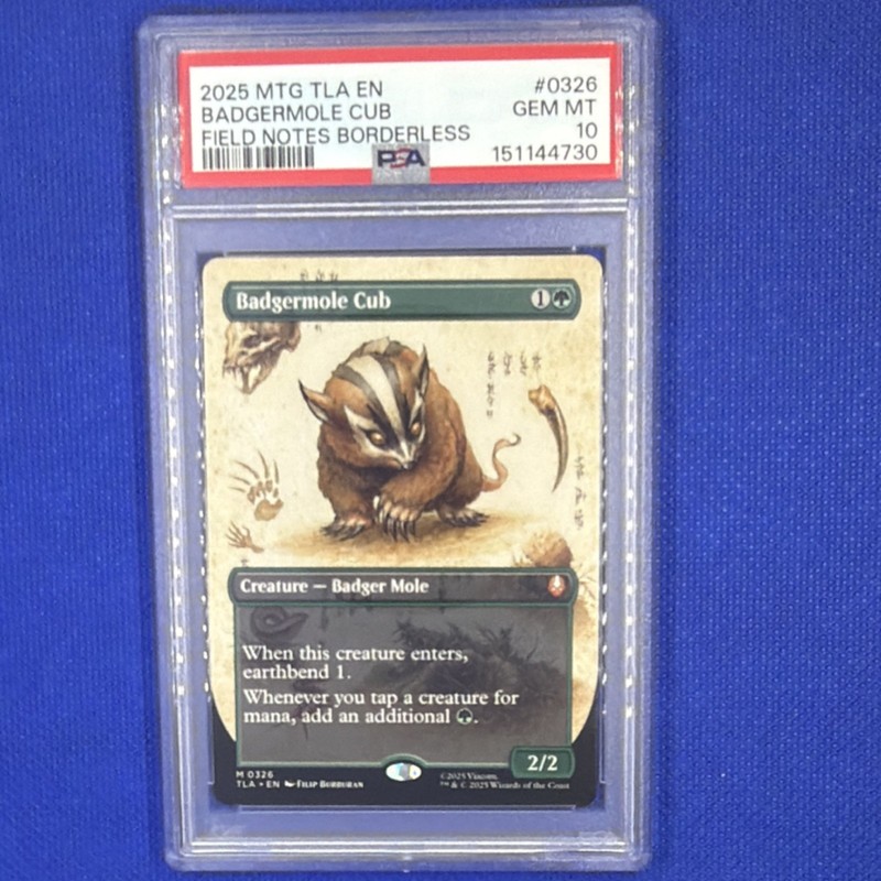 Magic: The Gathering Badgermole Cub Field Notes Green Borderless PSA 10 326 Eng…