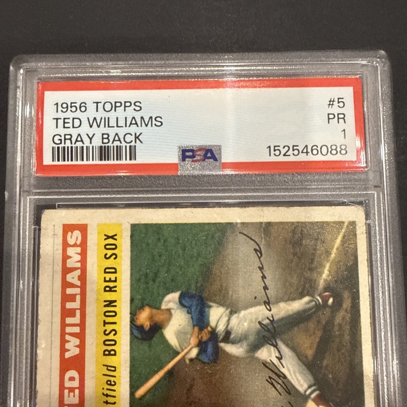 1956 Topps - Ted Williams #5 Gray Back—PSA 1–rare—Boston Red Sox view 2