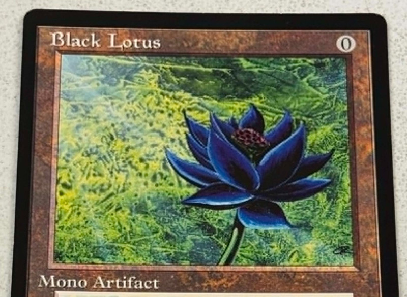 Black Lotus Oversized 6x9 Scrye Magazine Promo Card Magic The Gathering MTG - LP view 2