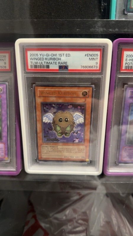 Yu-Gi-Oh  PSA 9 MINT Winged Kuriboh TLM-EN005 1st Edition Ultimate Rare