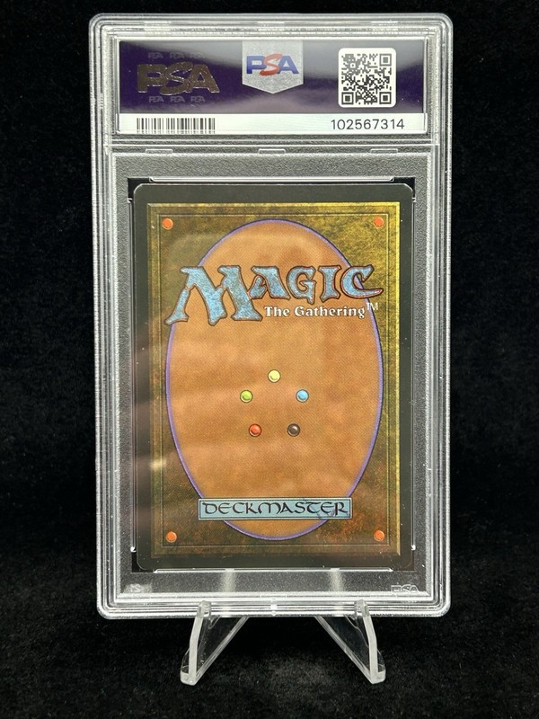 RAINBOW VALE Fallen Empires 1994 Magic the Gathering MTG 🔥RARE🔥 PSA 6 view 2
