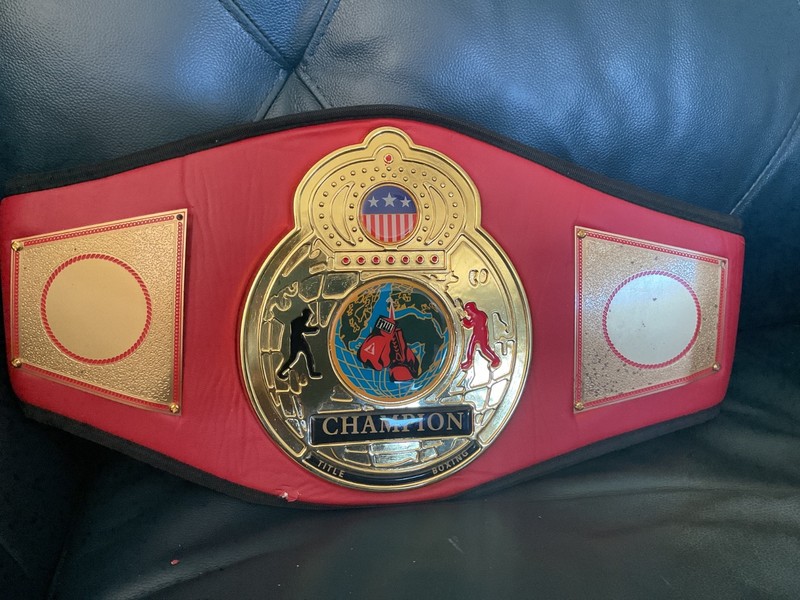 SEND OFFER Canelo Alvarez/ Gennady Golovkin PSA Autograph Belt