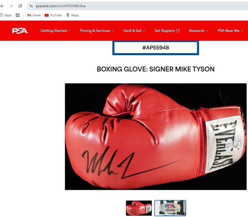 Signed Mike Tyson Boxing Glove - Everlast - Tyson Hologram & PSA Hologram COA 🥊 view 2