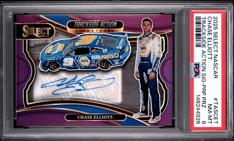 Chase Elliott 2025 Panini Select Trackside Action Signatures Purple /49 - PSA 8