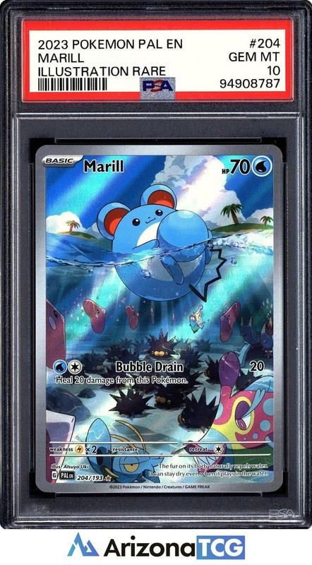 Pokemon 2023 Marill 204/193 Full Art IR Paldea Evolved GEM MINT PSA 10