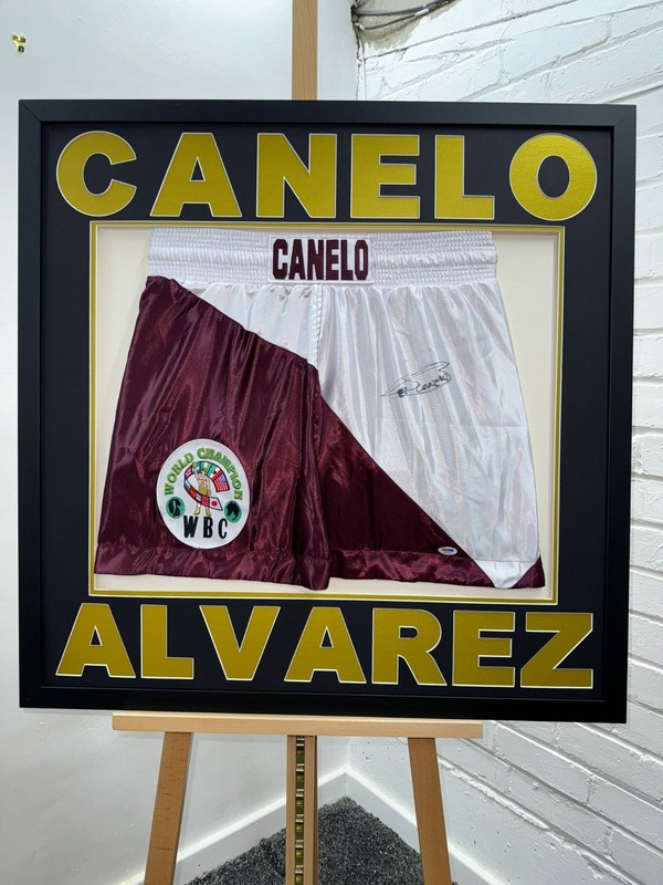 SIGNED SAUL CANELO ALVAREZ TRUNKS PSA STICKER PROOF CUSTOM FRAMED BOXING